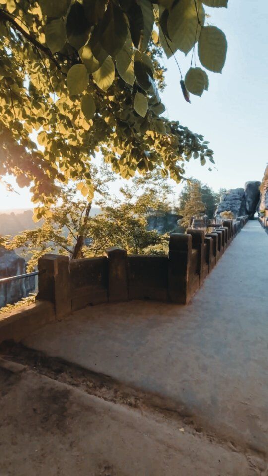 Bastei Bridge 💚🌿_____#sächsischeschweiz #smallmomentsofcalm #slowdownwithstills #beautifulmatters #outdoortones #weroamgermany #krajobrazy #sunrises #wschodyizachody #rsa_outdoors #podróżemałeiduże #sachsen #moodynaturelandscapes #moodygrams #the_folknature #podróże