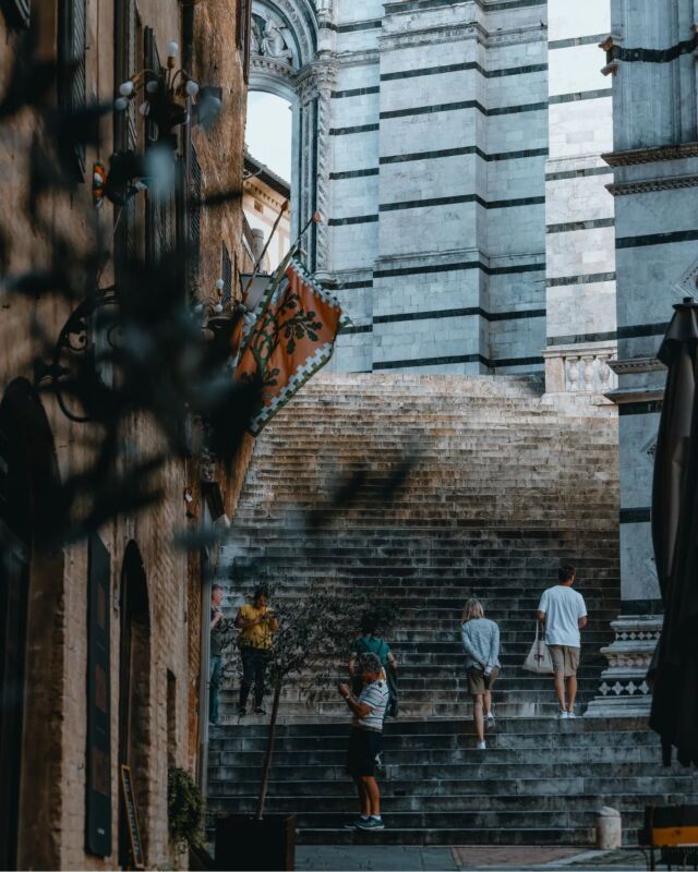 • Siena •Spośród większych miast, które odwiedziłam w Toskanii, w Sienie poczułam się najlepiej.Florencja była monumentalna, Pienza elegancka, a Siena najbardziej naturalna.Wystarczyło wyjść z głównego placu w boczne uliczki i można było spotkać nie tylko turystów,  ale i mieszkańców. Dzieciaki idące do szkoły, kobiety zaglądające do sklepów, starszych panów stojących na pogawędkach.Nie poczułam się tu jak turysta-najeźdzca, tylko jak obserwator 😉🗺 Siena, Włochy 📸 Canon EOS R6___________#siena #sienaitaly #visittuscany #toscana #ig_italy #wlochy #włoskiewakacje #toskania #tuscanygram  #tuscanyexperience #wakacje #podroze #kobiecafotoszkoła #europe_perfection #europe_vacations #ig_siena #visitsiena #igerssiena #citybestpics #passionpassport #miasto #zwiedzanie #ciekawemiejsca